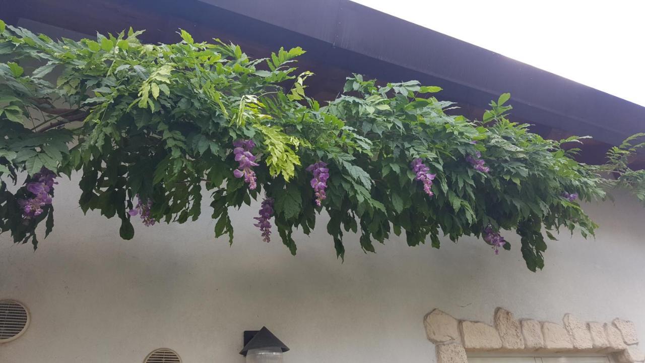 Casa Yami Hotel Padova Bagian luar foto